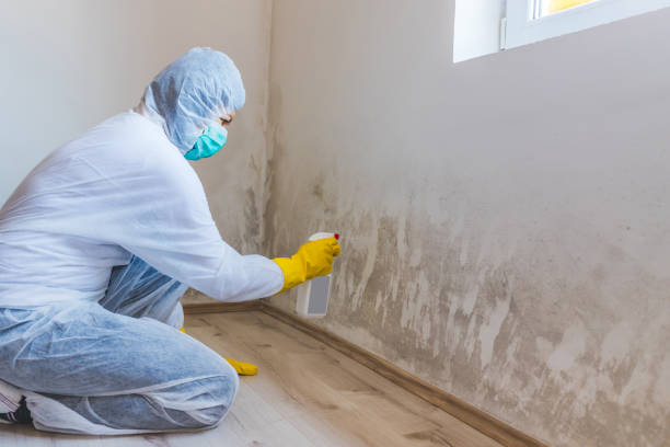Mold Remediation specialist working in White Post